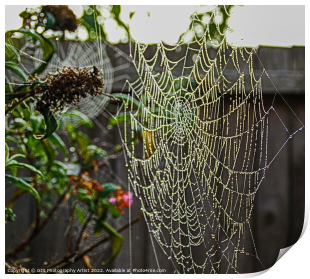 Garden Galaxy of Webs Print by GJS Photography Artist