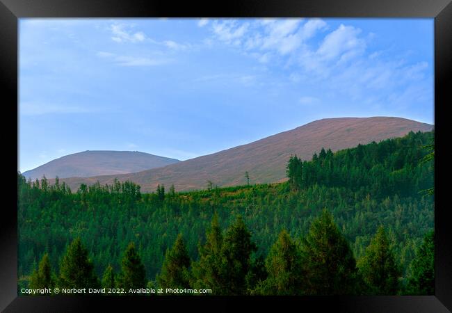 Enthralling Peaks: Tollymore Forest Vista Framed Print by Norbert David
