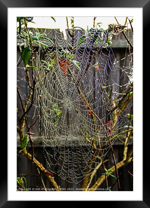 Dew Made the Webs Visable Framed Mounted Print by GJS Photography Artist