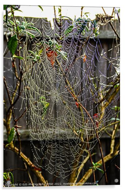 Dew Made the Webs Visable Acrylic by GJS Photography Artist