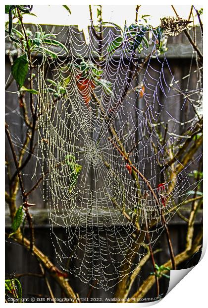 Dew Made the Webs Visable Print by GJS Photography Artist