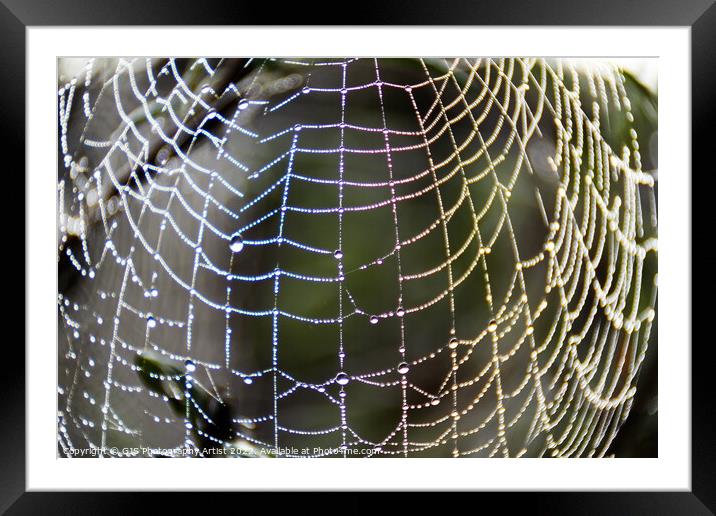 Rainbow Web Framed Mounted Print by GJS Photography Artist