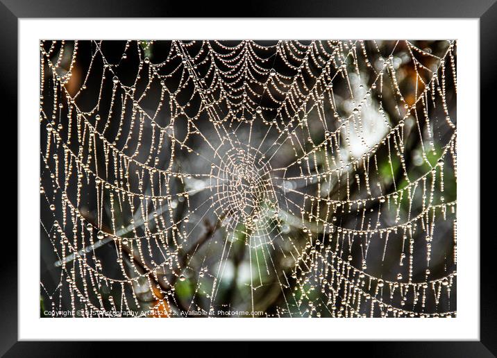 Web Beads Framed Mounted Print by GJS Photography Artist