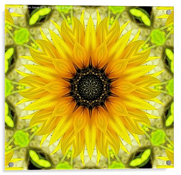 Kaleidoscope Sunflower Acrylic by Laura Jarvis