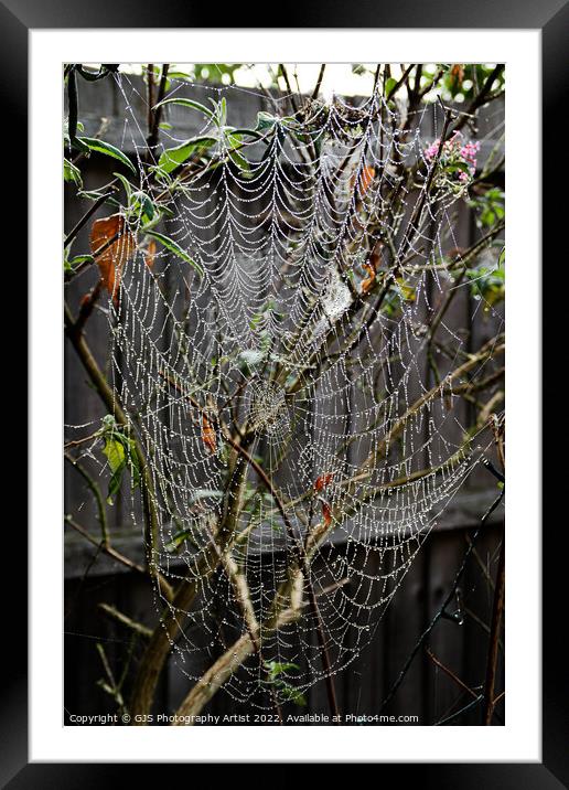 How Big Is The Spider Framed Mounted Print by GJS Photography Artist
