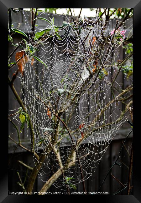 How Big Is The Spider Framed Print by GJS Photography Artist