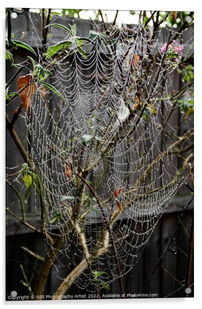 How Big Is The Spider Acrylic by GJS Photography Artist