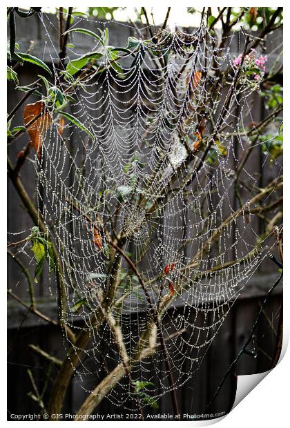 How Big Is The Spider Print by GJS Photography Artist