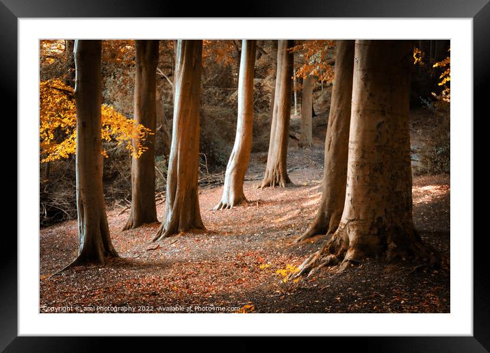 Autumn Glow Framed Mounted Print by ami Photography