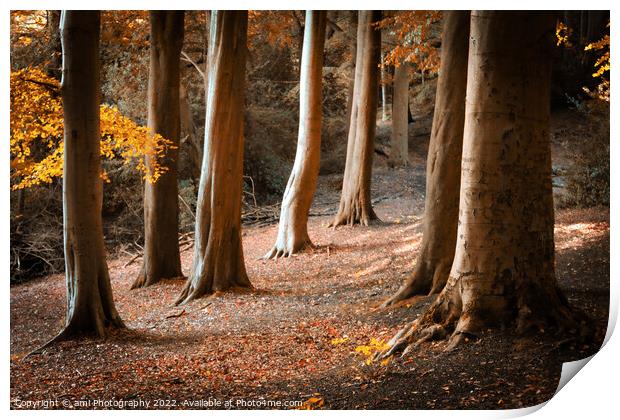 Autumn Glow Print by ami Photography