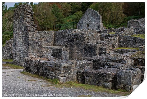 Bryntail Lead Mine near Llanidloes Print by Jenny Hibbert