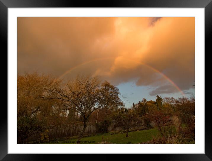 Full rainbow over garden Framed Mounted Print by Sally Wallis