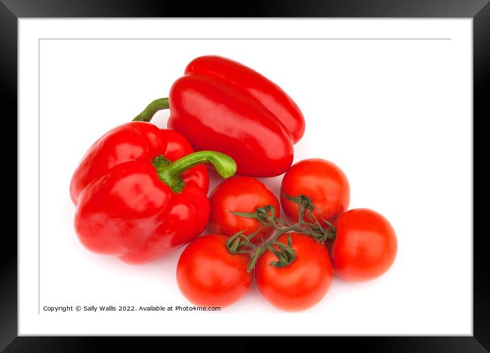 Bellpeppers & tomatoes Framed Mounted Print by Sally Wallis