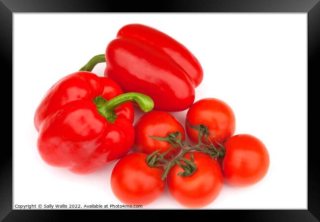 Bellpeppers & tomatoes Framed Print by Sally Wallis
