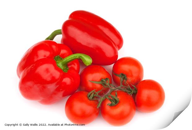 Bellpeppers & tomatoes Print by Sally Wallis