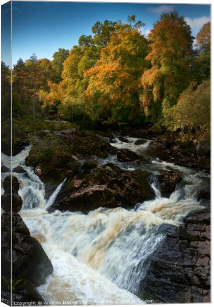 Falls of Feugh at Banchory in autumn Canvas Print by Andrew Davies