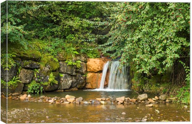 Clydach Vale Upper Pool Waterfall  Canvas Print by Nick Jenkins