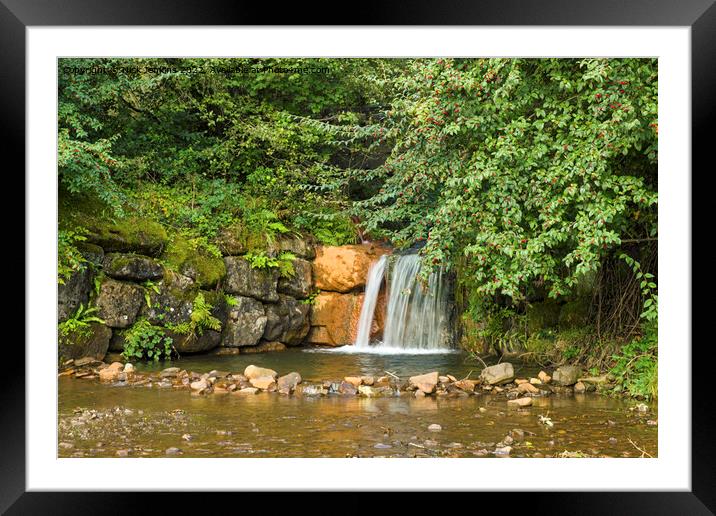 Clydach Vale Upper Pool Waterfall  Framed Mounted Print by Nick Jenkins