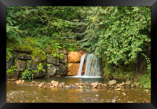 Clydach Vale Upper Pool Waterfall  Framed Print by Nick Jenkins