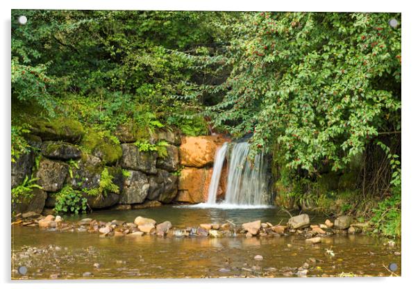 Clydach Vale Upper Pool Waterfall  Acrylic by Nick Jenkins
