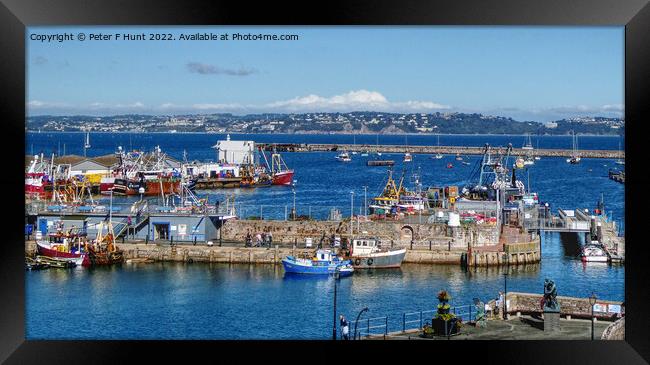 A Sunny Day Over Brixham Harbour  Framed Print by Peter F Hunt