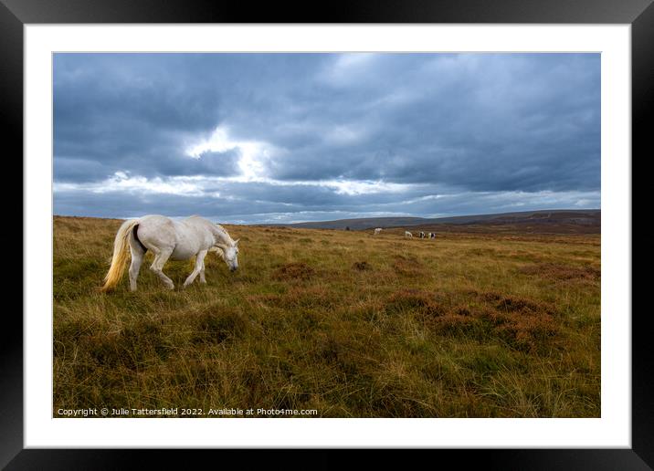 The White Horse Framed Mounted Print by Julie Tattersfield