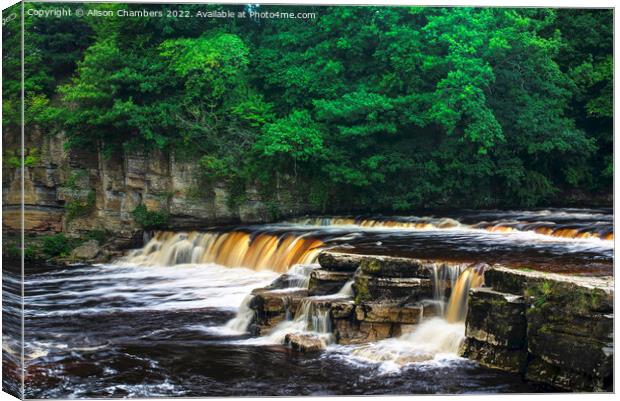 River Swale Richmond Canvas Print by Alison Chambers