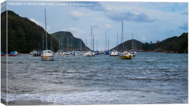 Tranquil Watermouth Harbour Canvas Print by tammy mellor