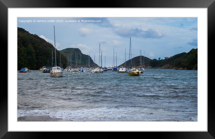 Tranquil Watermouth Harbour Framed Mounted Print by tammy mellor