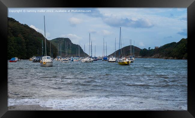 Tranquil Watermouth Harbour Framed Print by tammy mellor