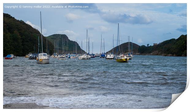 Tranquil Watermouth Harbour Print by tammy mellor