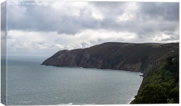 Majestic View of North Devon Canvas Print by tammy mellor