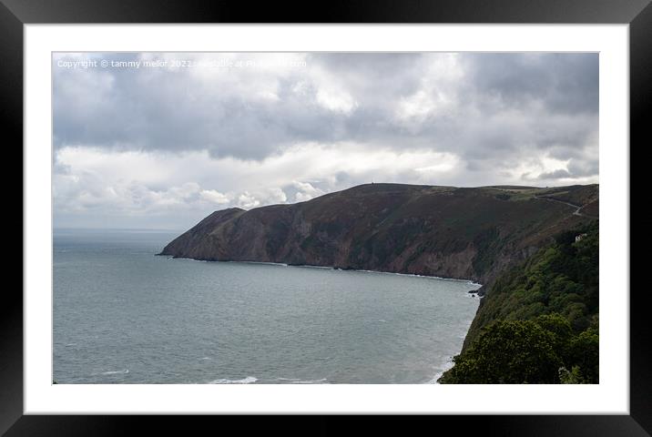 Majestic View of North Devon Framed Mounted Print by tammy mellor