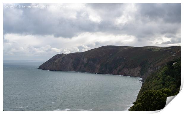 Majestic View of North Devon Print by tammy mellor