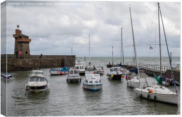 Tranquil Beauty of Lynton Harbour Canvas Print by tammy mellor