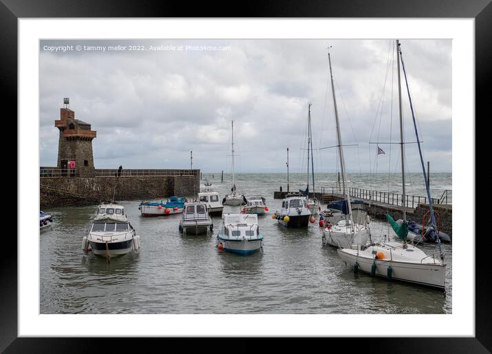 Tranquil Beauty of Lynton Harbour Framed Mounted Print by tammy mellor