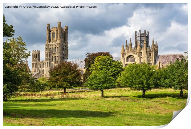 Ely Cathedral from Cherry Hill Park Print by Angus McComiskey