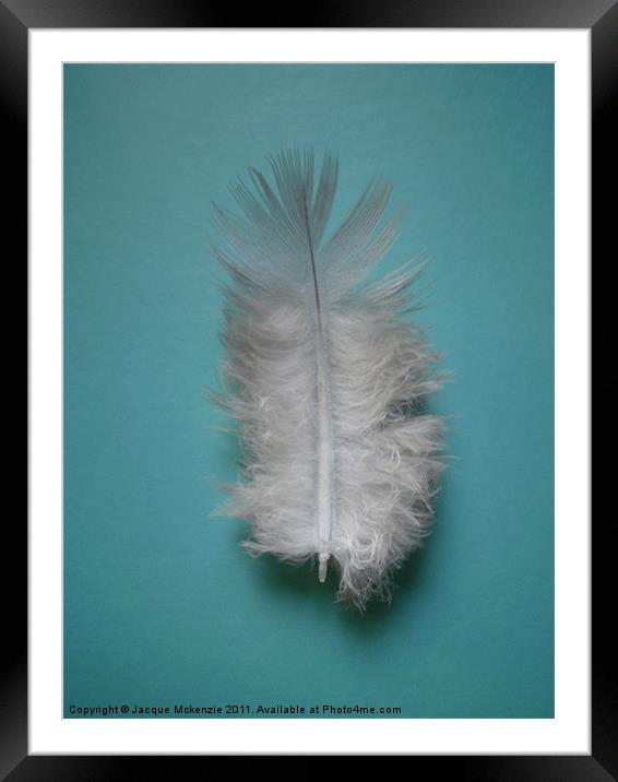 FEATHER Framed Mounted Print by Jacque Mckenzie