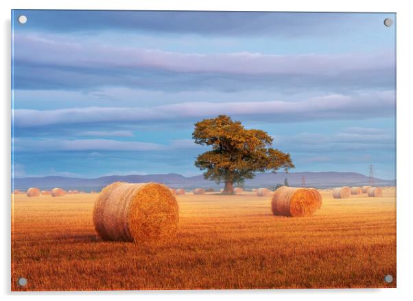 Autumn Harvest Acrylic by Anthony McGeever
