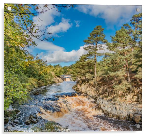 Autumn Tints at Low Force Waterfall, Teesdale Acrylic by Richard Laidler