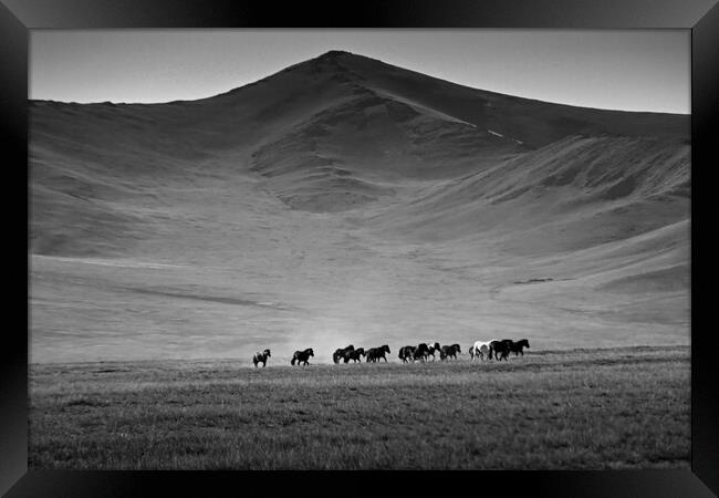 A horse grazing in an open field with a mountain in the background Framed Print by Andrew chittock