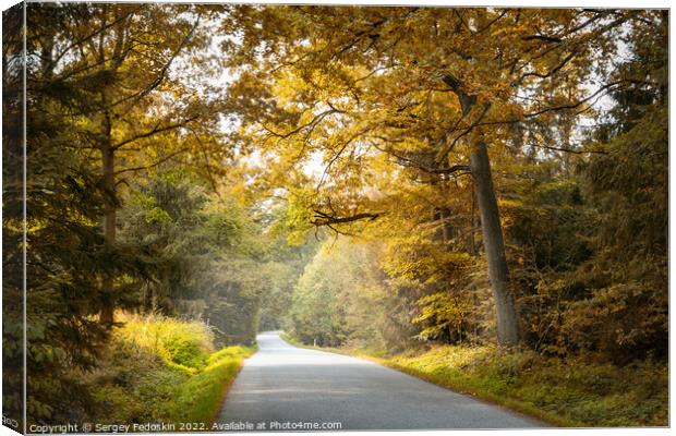 Autumn road in the forest. Canvas Print by Sergey Fedoskin