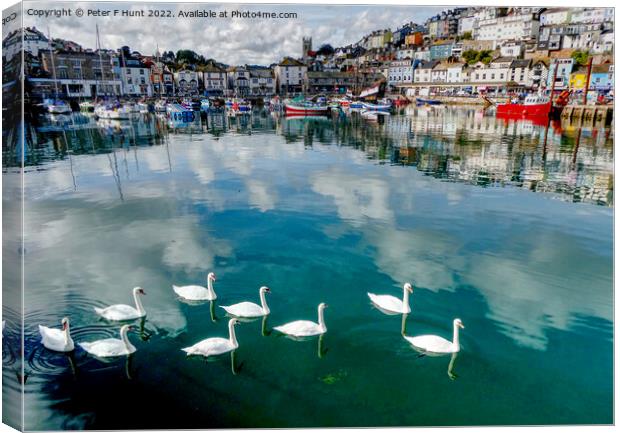 Reflections And Swans In The Harbour Canvas Print by Peter F Hunt