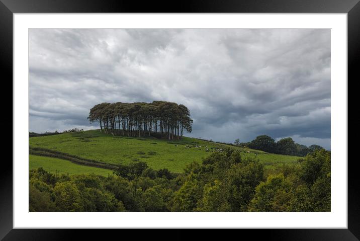 Nearly home Trees, cornwall, A30 Framed Mounted Print by kathy white