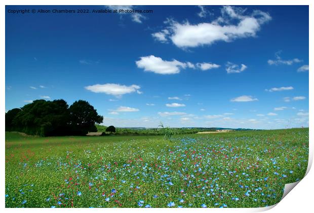 Summer Flower Meadow Print by Alison Chambers