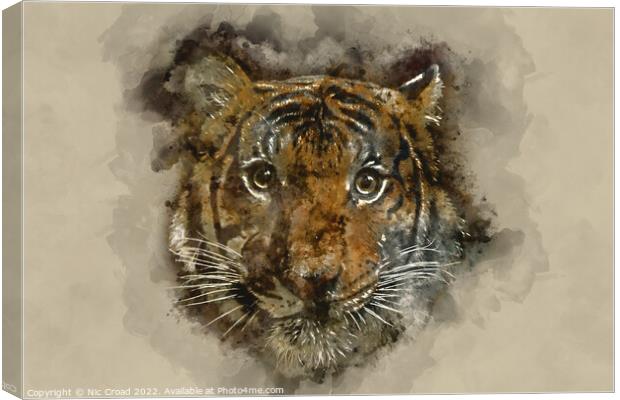 Tiger Watercolour Canvas Print by Nic Croad