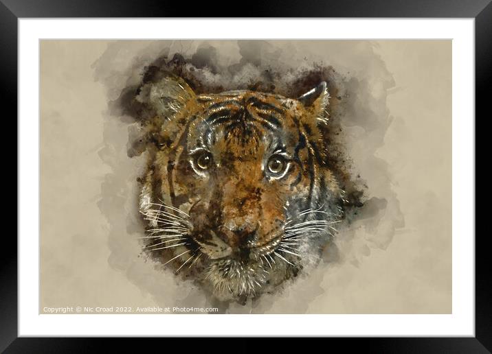 Tiger Watercolour Framed Mounted Print by Nic Croad