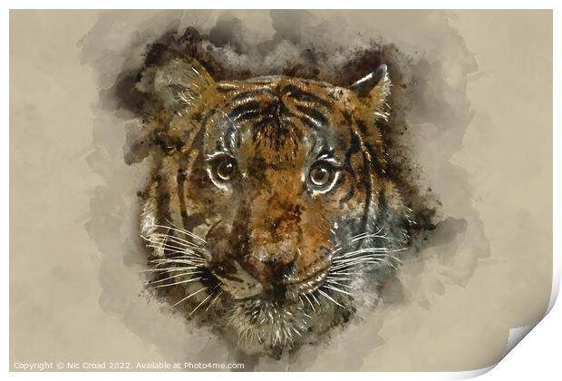 Tiger Watercolour Print by Nic Croad