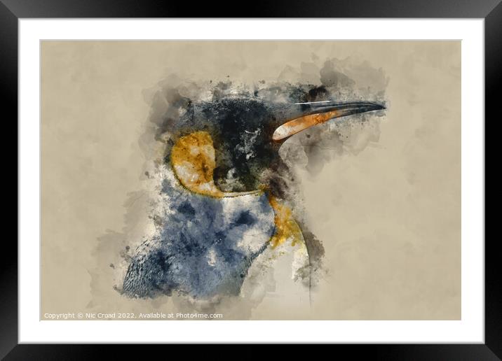 Emperor Penguin Framed Mounted Print by Nic Croad