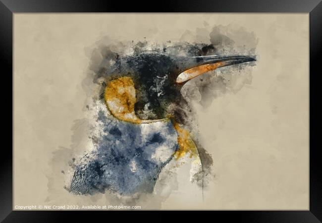 Emperor Penguin Framed Print by Nic Croad